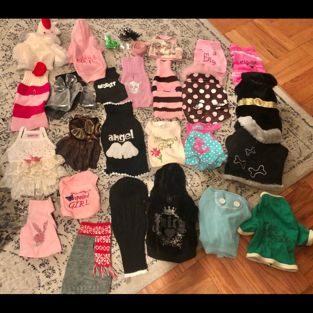 Bundle of Teacup Dog Clothes/accessories